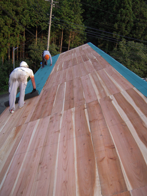 屋根の補修01/屋根全体の修繕/野地板